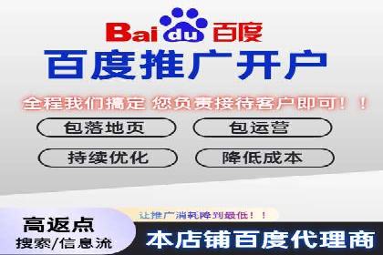 百度推广效果案例解析